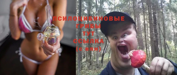 дживик Михайлов