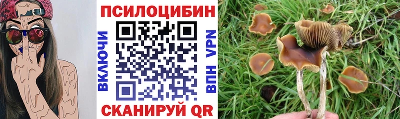 Галлюциногенные грибы прущие грибы  Купить  Озёры 